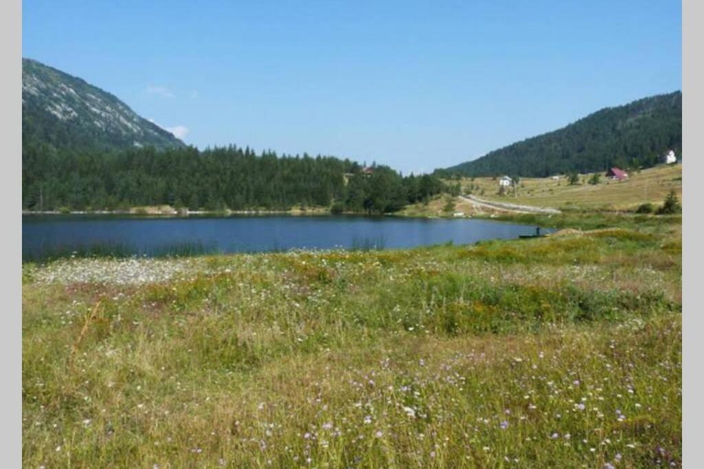Spectacular Lakeview House Zabljak  Luaran gambar
